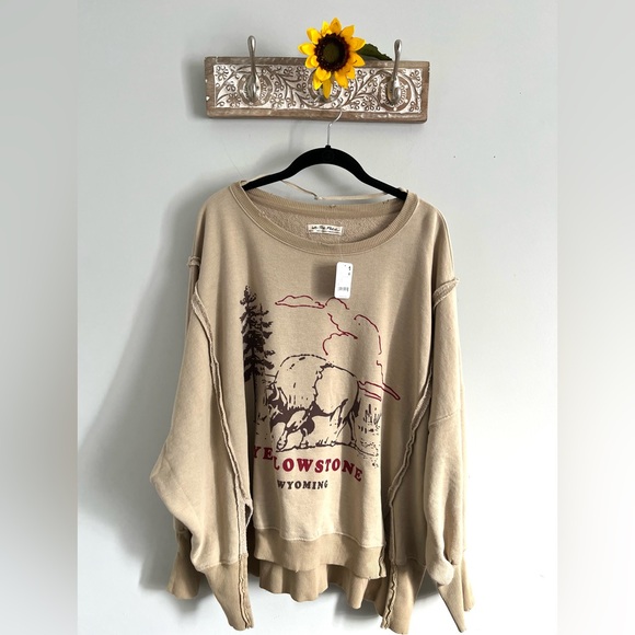 🆕FREE PEOPLE YELLOWSTONE We The Free Graphic Camden Pullover-Size Small - Picture 12 of 15